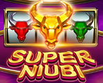 super niubi slots
